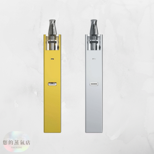 VINS 24K 小金條 / 18K 小銀磚  電子煙 小煙主機 佩特里 行李箱主機 小蠻牛 英國氣泡主機 香氛天堂 蒸氣 潮流商城 FITPOD主機