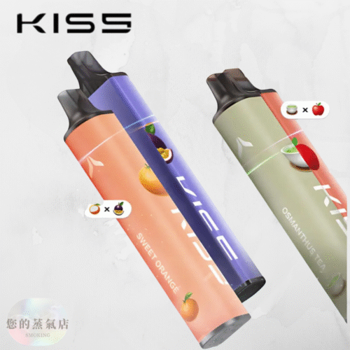 ✨KISS 一次性電子煙 6500口｜雙磁吸混搭口味 ✨ 💥 超值優惠 NT$350｜買十送一｜滿1500免運｜可批發聊聊 | 一次性 電子煙 拋棄式主機 潮流商城 蒸氣店 蒸氣孤兒院 蒸氣天堂