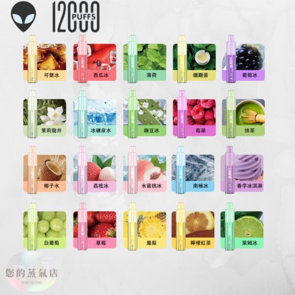 外星人一次性 12000口 | 十送一 【一次性|拋棄式小煙】小野vvild 外星人12000口超多口味任選 一次性主機 鴨嘴獸一次性 鴨嘴獸拋棄式 OBI一次性 T1一次性